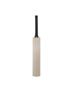 Blank-Mini-Autograph-Cricket-bat