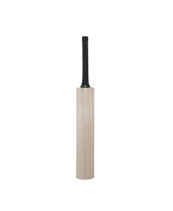 Blank-Mini-Autograph-Cricket-bat