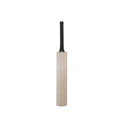 Blank-Mini-Autograph-Cricket-bat