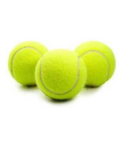 tennis-balls- yellow-cricket-practice