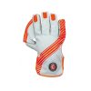 Hunts County Envy Cricket Wicket Keeping Gloves