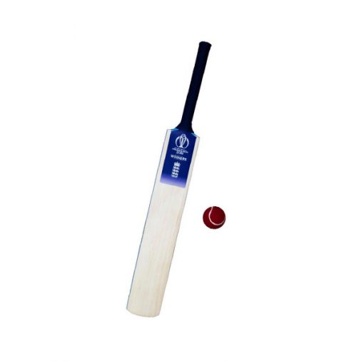 Gray-nicolls-Cricket-World-Cup-Bat-&-Ball-Starter-Set