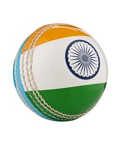 India flag hard leather cricket ball