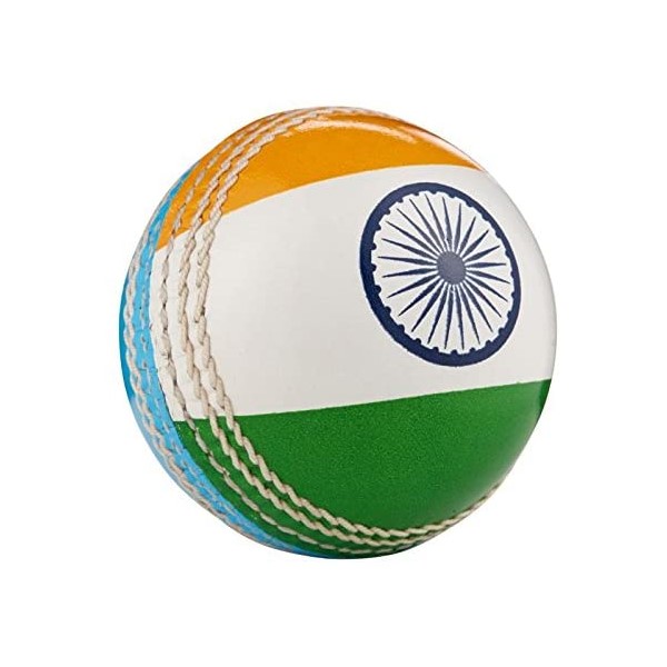 Hunts County Cricket-Ball mit internationaler Flagge 
