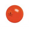 Readers Windball Cricket Practice Ball