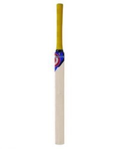 Hunts-cricket coaching-technique-bat