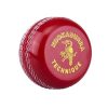 Kookaburra-technique-trainer-cricket-ball