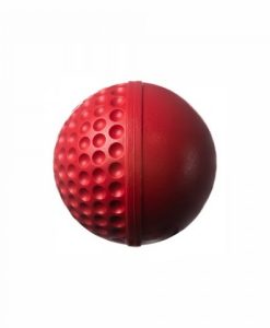 Swinga-techinque-training-cricket-ball-red