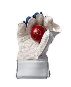 GM-Prima-909-cricket-wicket-keeping-gloves-palm-with-ball