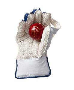 GM-Prima-cricket-wicket-keeping-gloves-palm-with-ball