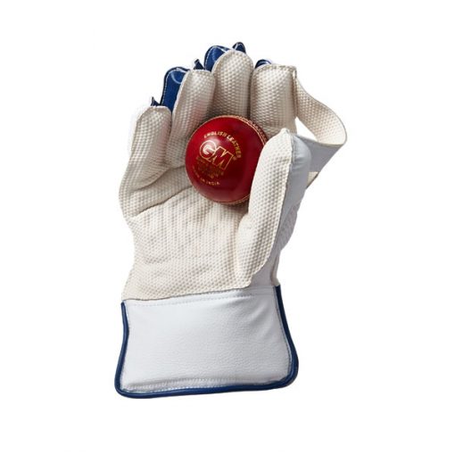 GM-Prima-cricket-wicket-keeping-gloves-palm-with-ball