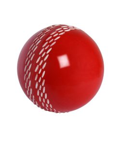 Gray-Nicolls-Velocity-Training-Ball