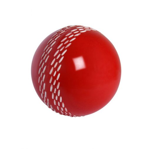 Gray-Nicolls-Velocity-Training-Ball