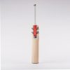 Gray-nicolls-Alpha-Gen-1.0-4-star-cricket-bat