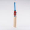 Gray-nicolls-Vapour-Gen-1.0-5-star-cricket-bat