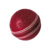 Gunn-&-Moore-Chevron-Swing-training-cricket-ball