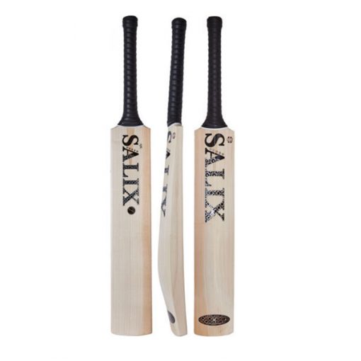 Salix_ajk_select_cricket_bat