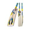 hunts-county-neo-500-cricket-bat