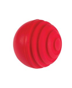 Gray_Nicolls_wobble_ball