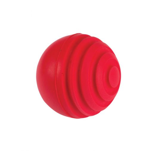 Gray_Nicolls_wobble_ball