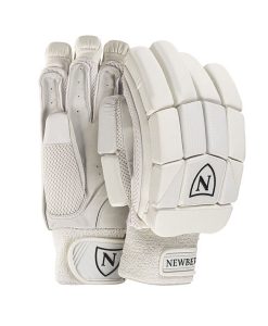 nseries_newbery_glove