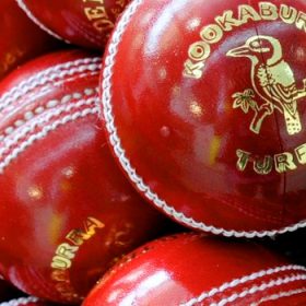 cricket balls