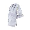 Gray-Nicolls-Legend-Wicket-Keeping-Gloves-Back