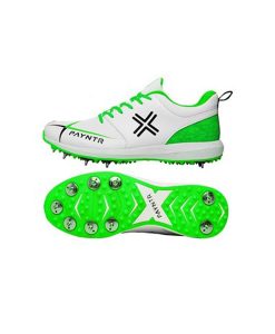 Payntr-V-spike-cricket-shoes
