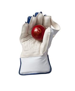 GM-Prima-23-Wicket-keeping-gloves-palm
