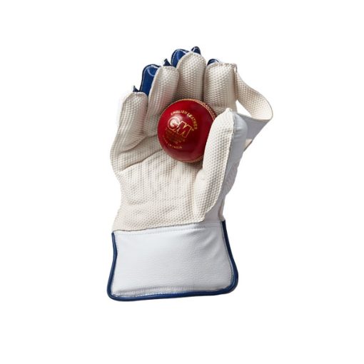 GM-Prima-23-Wicket-keeping-gloves-palm