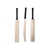 Salix-AMP-Cricket-Bat