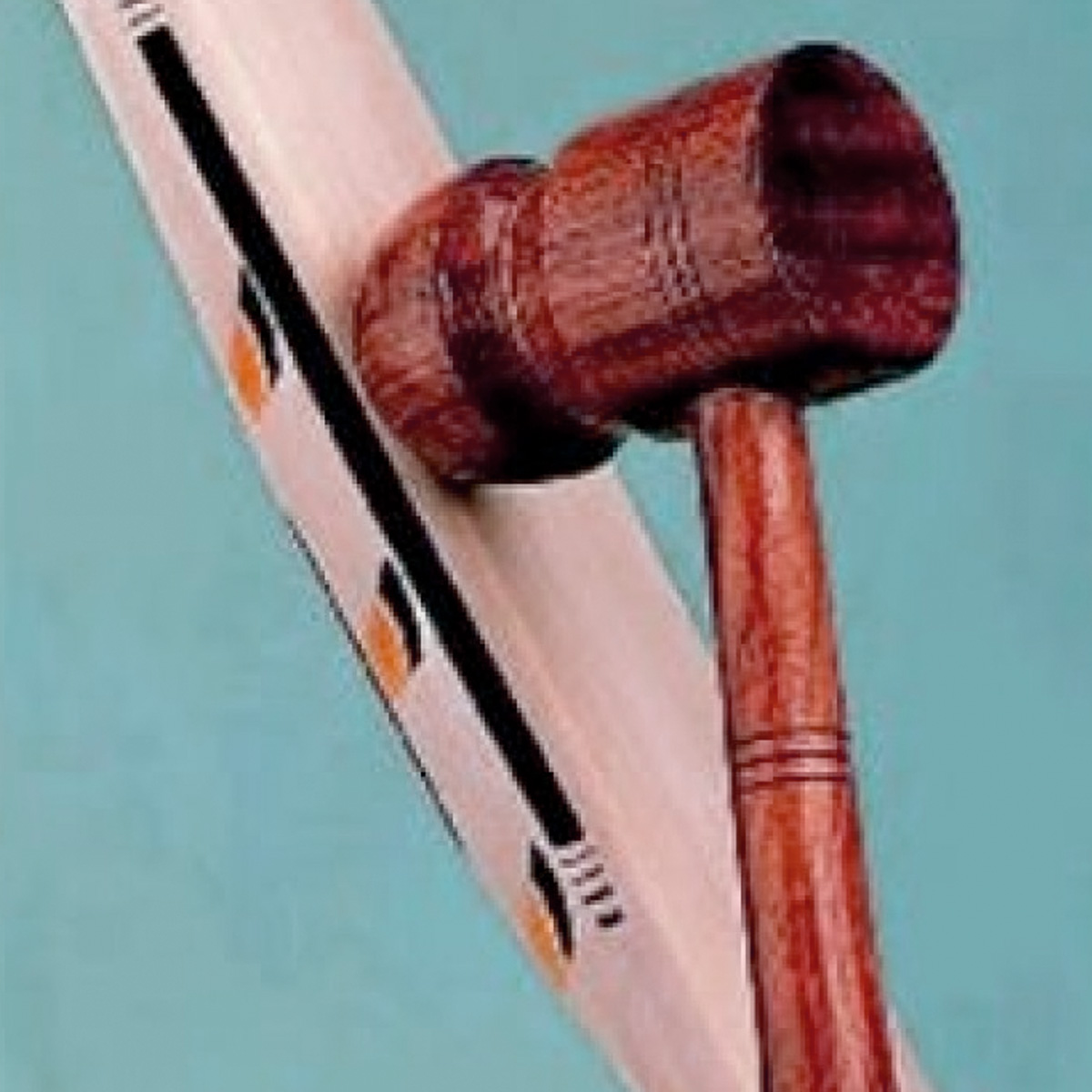 Bat Knocking In Kent Cricket Direct