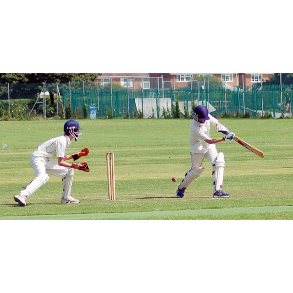 Starting-Junior-Hard-ball-cricket
