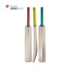 custome-cricket-bat