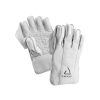 Chase FLC Cricket Wicket Keeping Gloves 2026