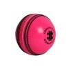 Gray Nicolls Wonder Cricket ball