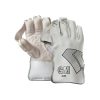 Gunn & Moore 606 Cricket Wicketkeeping Gloves 2025